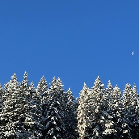 Ferienwohnung Kuckucksnest Bad Wildbad Εξωτερικό φωτογραφία